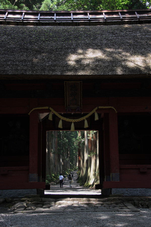 同僚と行く戸隠神社奥社への道１_c0007190_21103989.jpg