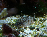 f0146198_0191054.jpg