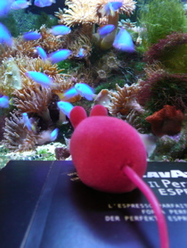 f0146198_046672.jpg