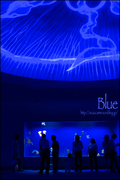 ブルー_f0100215_2341429.jpg