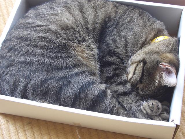 c0020320_12551545.jpg