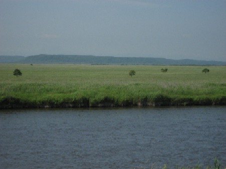a0061324_1443139.jpg