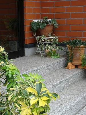 f0170524_15525176.jpg