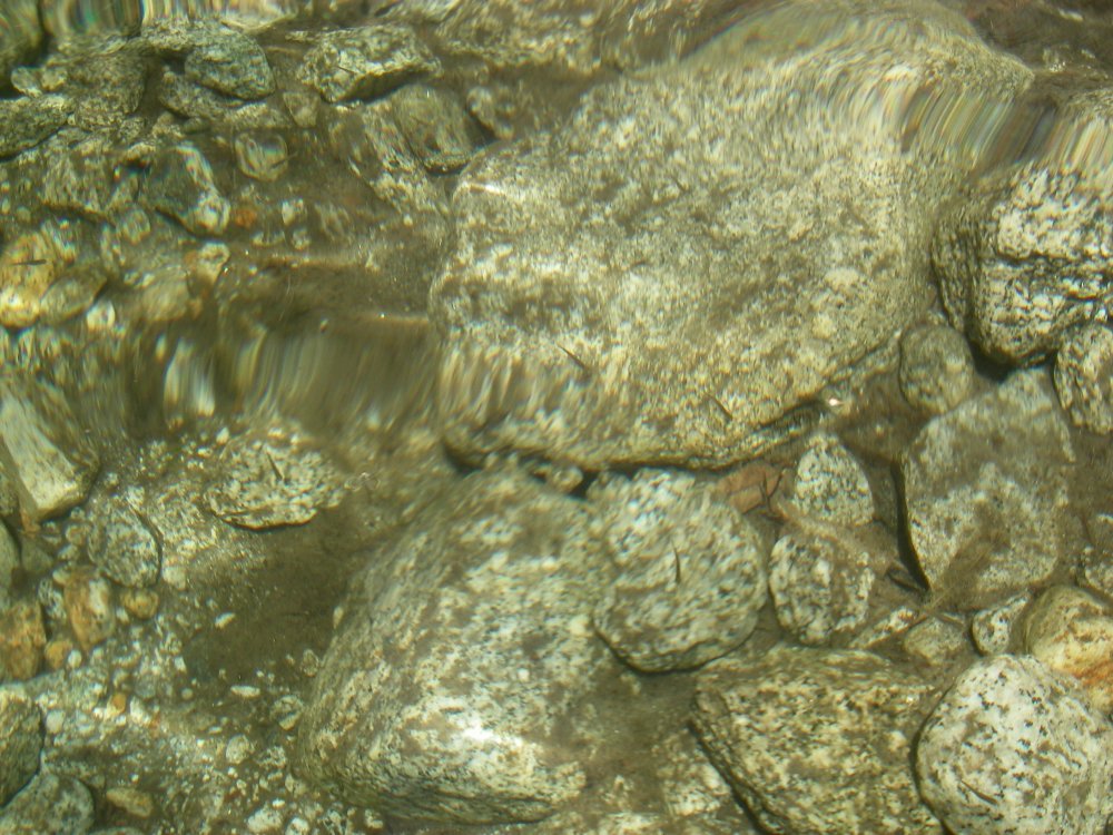c0162128_8531325.jpg
