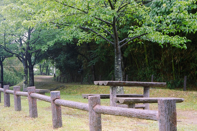 河内 古墳群_d0138130_10172642.jpg
