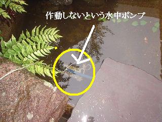 水中ポンプ・植木の剪定現場確認・ファンヒーター他_f0031037_19453277.jpg