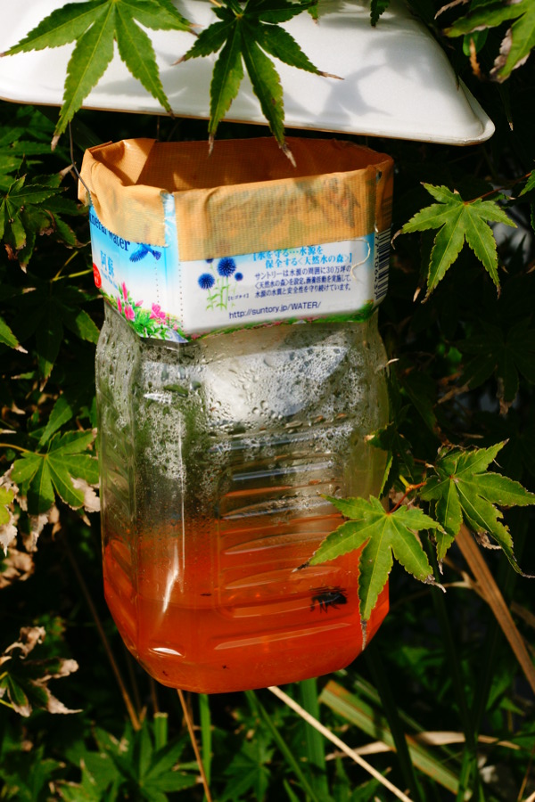 秋の気配と標準マクロ_b0060239_20343449.jpg