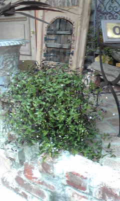a0094140_10381813.jpg