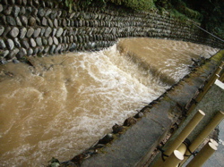 c0141844_02428.jpg