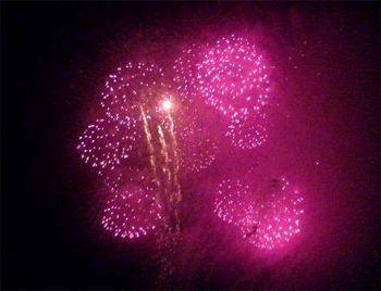 a0044453_15244516.gif