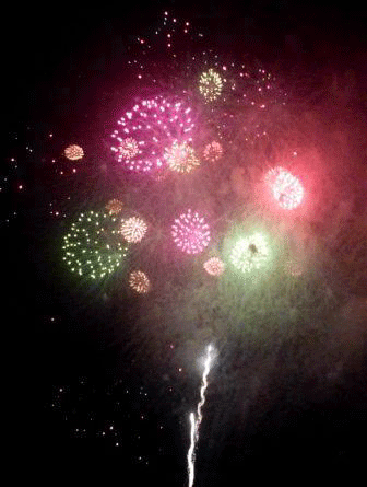 a0044453_15252765.gif