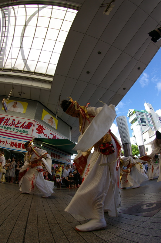 ２００８よさこい全国大会その２３（ギョガンでよさこい)_a0009554_11413819.jpg