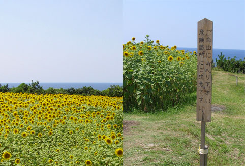 海と山の佐渡＆新潟旅☆vol.5_a0076457_8552178.jpg