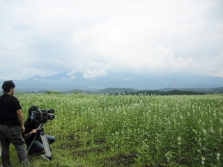 f0043559_943595.jpg