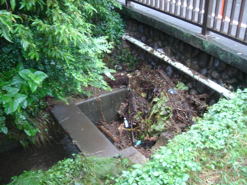 f0059673_07345.jpg