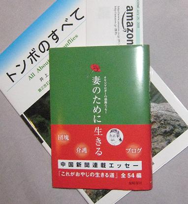 妻のために生きる キャンペーンその2_a0107574_8414290.jpg