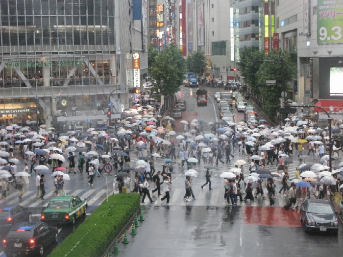 大雨警報_e0086880_23111646.jpg