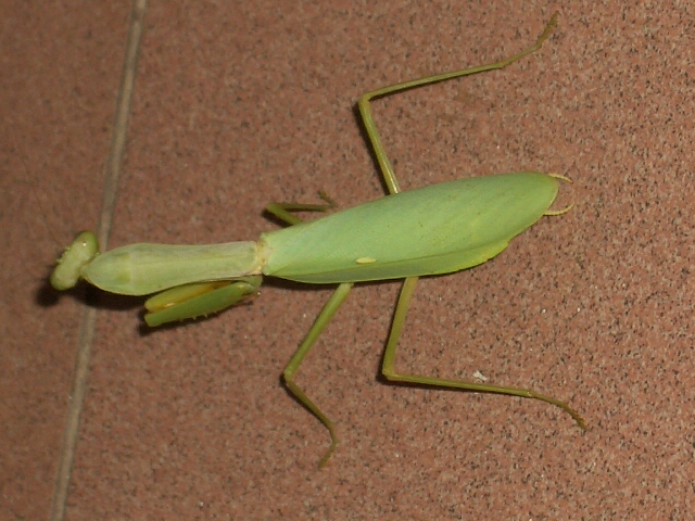 c0175883_203222.jpg