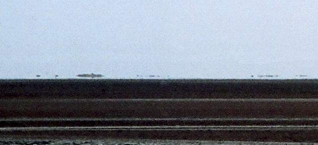 チュニジア・・・湖と海の蜃気楼を見た_c0067690_15111161.jpg