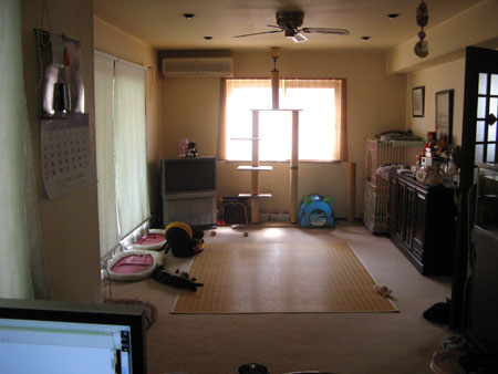 f0157790_003045.jpg