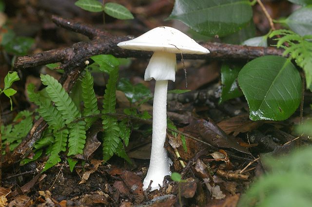 e0070891_18131384.jpg