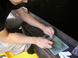 e0121993_17404890.jpg