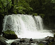 b0025511_20385811.jpg
