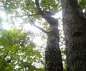 b0025511_20385869.jpg