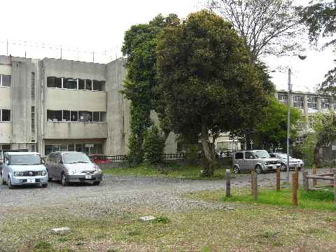 c0051112_20392566.jpg