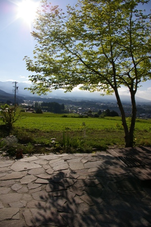 e0105916_12475121.jpg