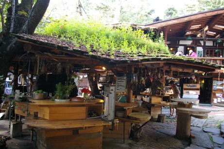 e0105916_13362922.jpg
