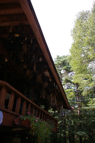 e0105916_1337457.jpg