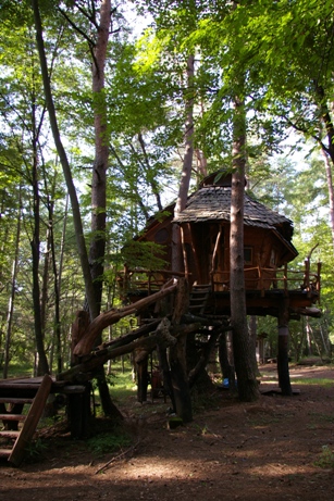 e0105916_1351591.jpg