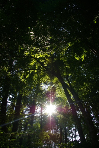 e0105916_1373072.jpg