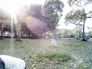 e0119017_1350486.jpg
