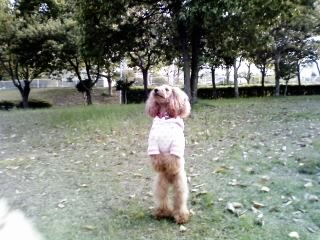 e0119017_13513169.jpg