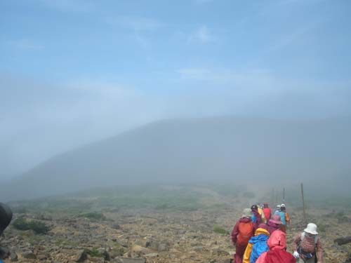 d0080118_21384580.jpg