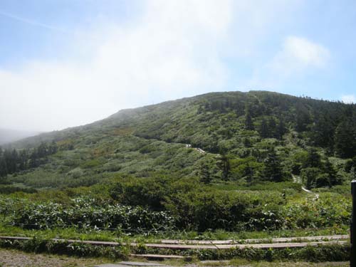 d0080118_2148373.jpg