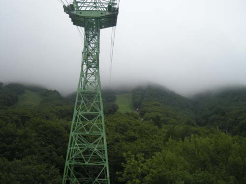 d0080118_2230221.jpg