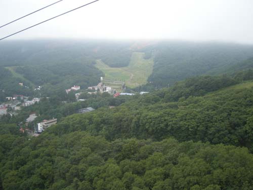 d0080118_22304660.jpg