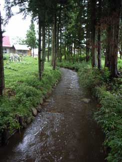 d0106518_1503599.jpg