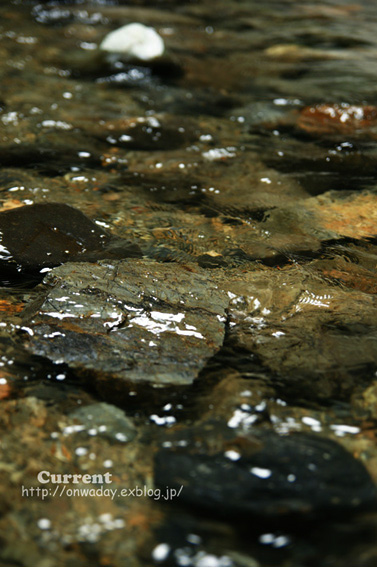 e0146919_0305461.jpg