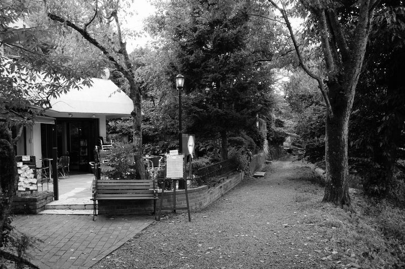 f0140720_043987.jpg