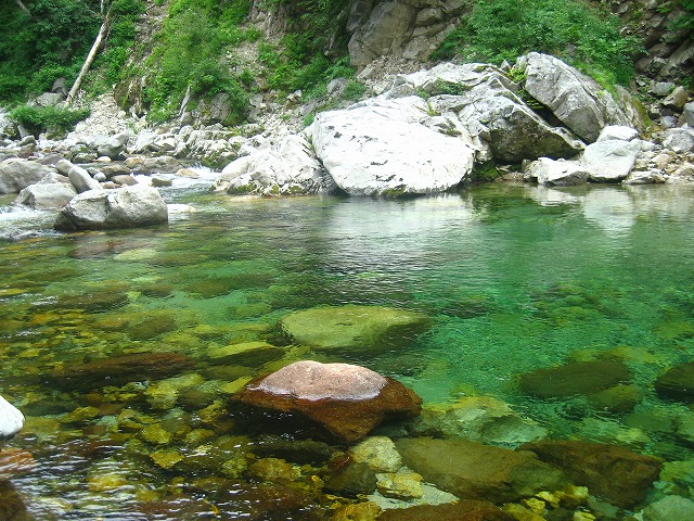 d0111124_20291279.jpg