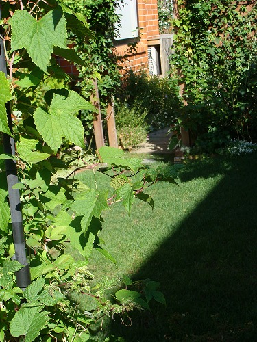 f0170524_15415623.jpg