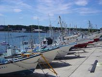 e0122332_1240279.jpg