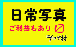 今日も魔死華苦_e0146738_135928.jpg