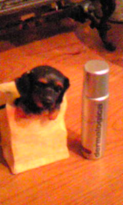 a0094140_13115819.jpg