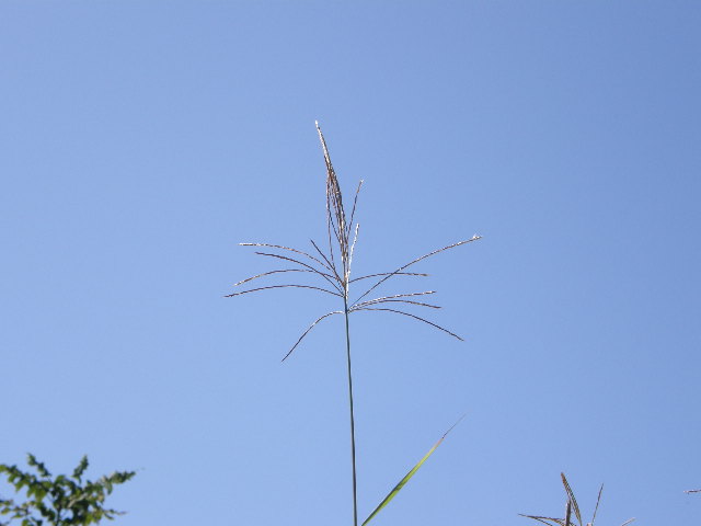e0126946_2233772.jpg
