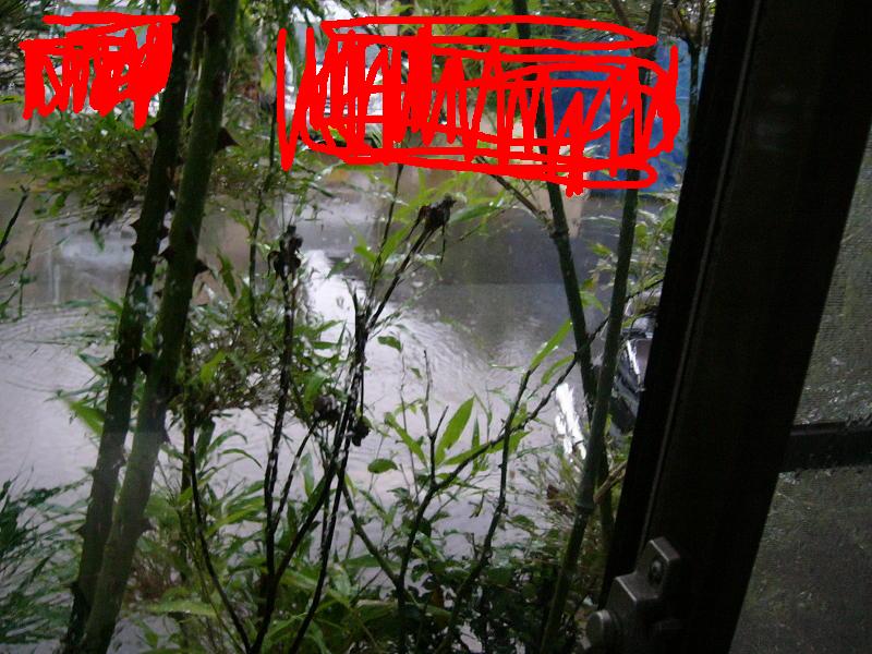 f0096947_0591927.jpg